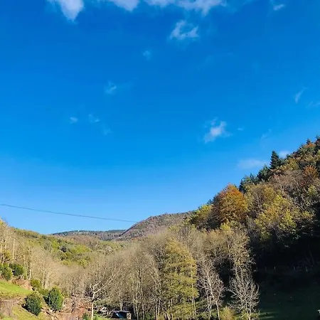 La Clede Aux Lamas *