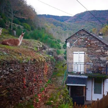 La Clede Aux Lamas *