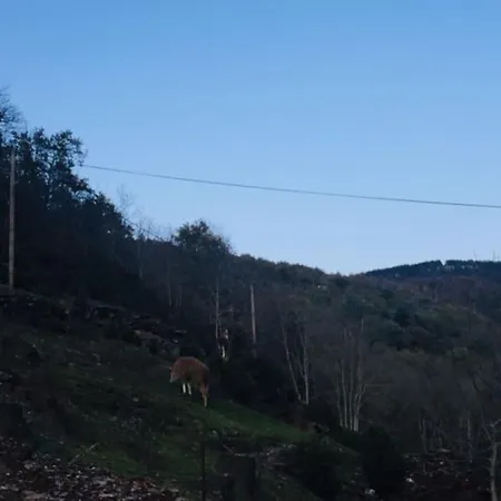 Сasa de vacaciones La Clede Aux Lamas *