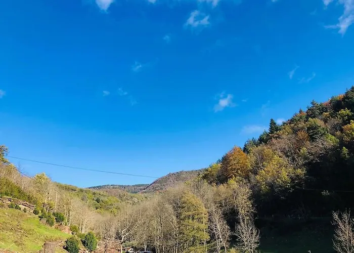 La Clede Aux Lamas *