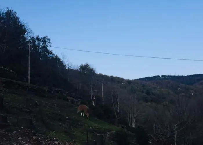 Ferienhaus La Clede Aux Lamas *